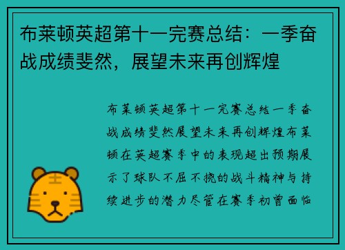 布莱顿英超第十一完赛总结:一季奋战成绩斐然,展望未来再创辉煌 布莱顿英超第十一完赛总结:一季奋战成绩斐然,展望未来再创辉煌